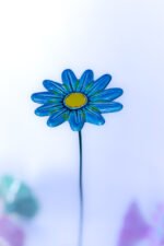 Daisy 11 petals - Image 3