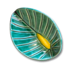 Anthurium - Image 5