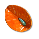 Anthurium - Image 11