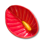 Anthurium - Image 2