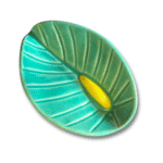 Anthurium - Image 13