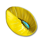 Anthurium - Image 16