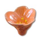 Lisianthus - Image 12