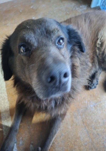 WhatsApp Image 2025-11-05 at 15.47.42_56fab156 (1)